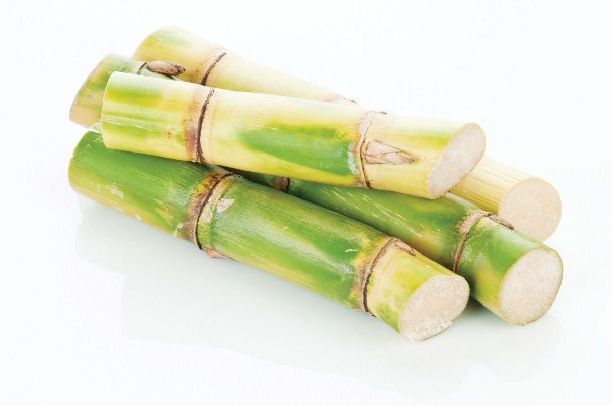 four pieces of sugarcane on white background