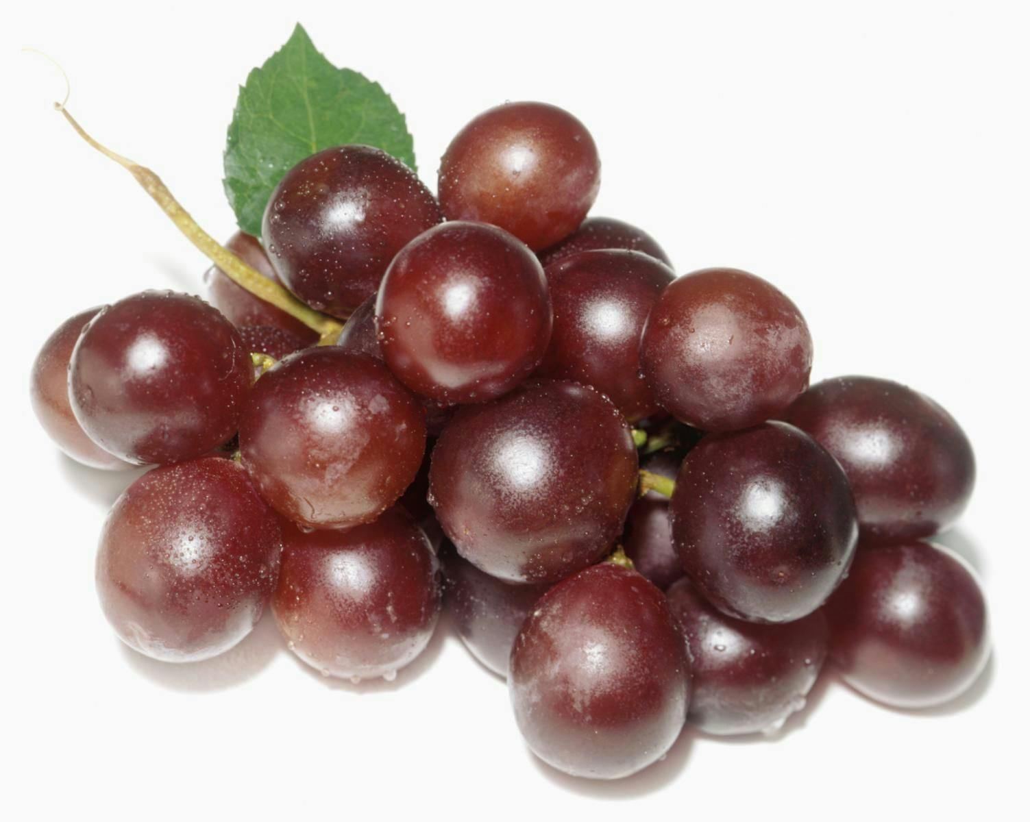 Grape Seed Extract for Lowering Blood Pressure?