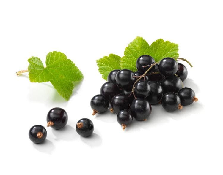 Activeberry, a new blackcurrant sports performance ingredient, debuting at SupplySide West