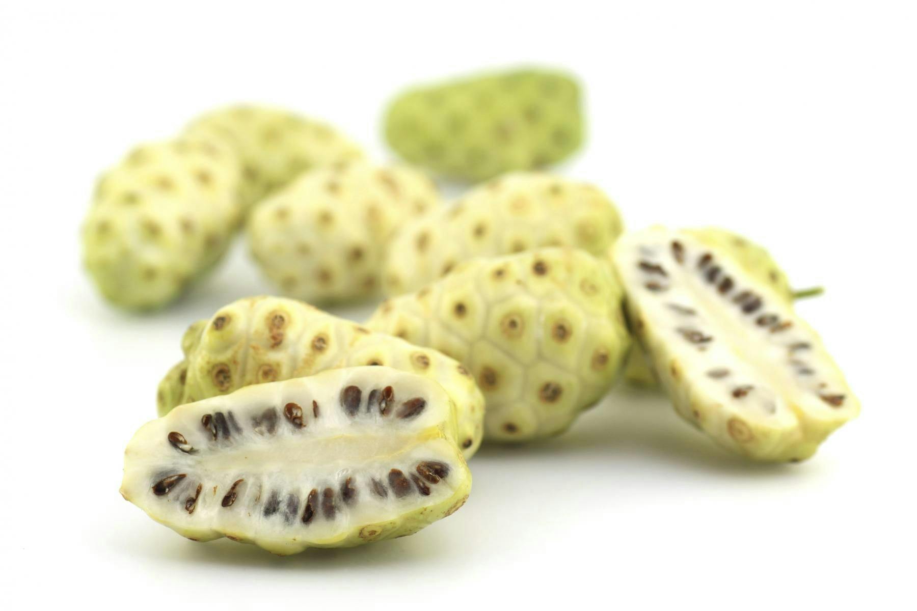 Noni Juice Lessens DNA Damage in Smokers