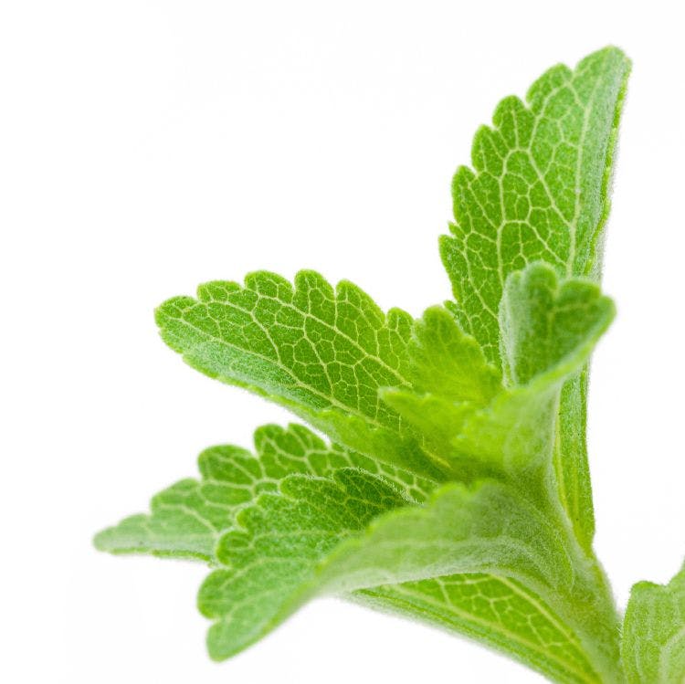  SweeGen’s Reb B stevia ingredient receives GRAS no objection letter from FDA