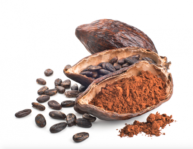 Cocoa Flavanols: Emerging Research Is Taking Us Deeper Inside the Cacao Bean