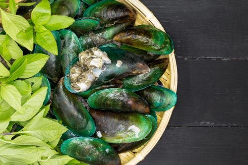 Waitaki Bioscience Expansion Set to Boost Production of Green Lipped Mussel Oil, Kiwifruit Powder, and More