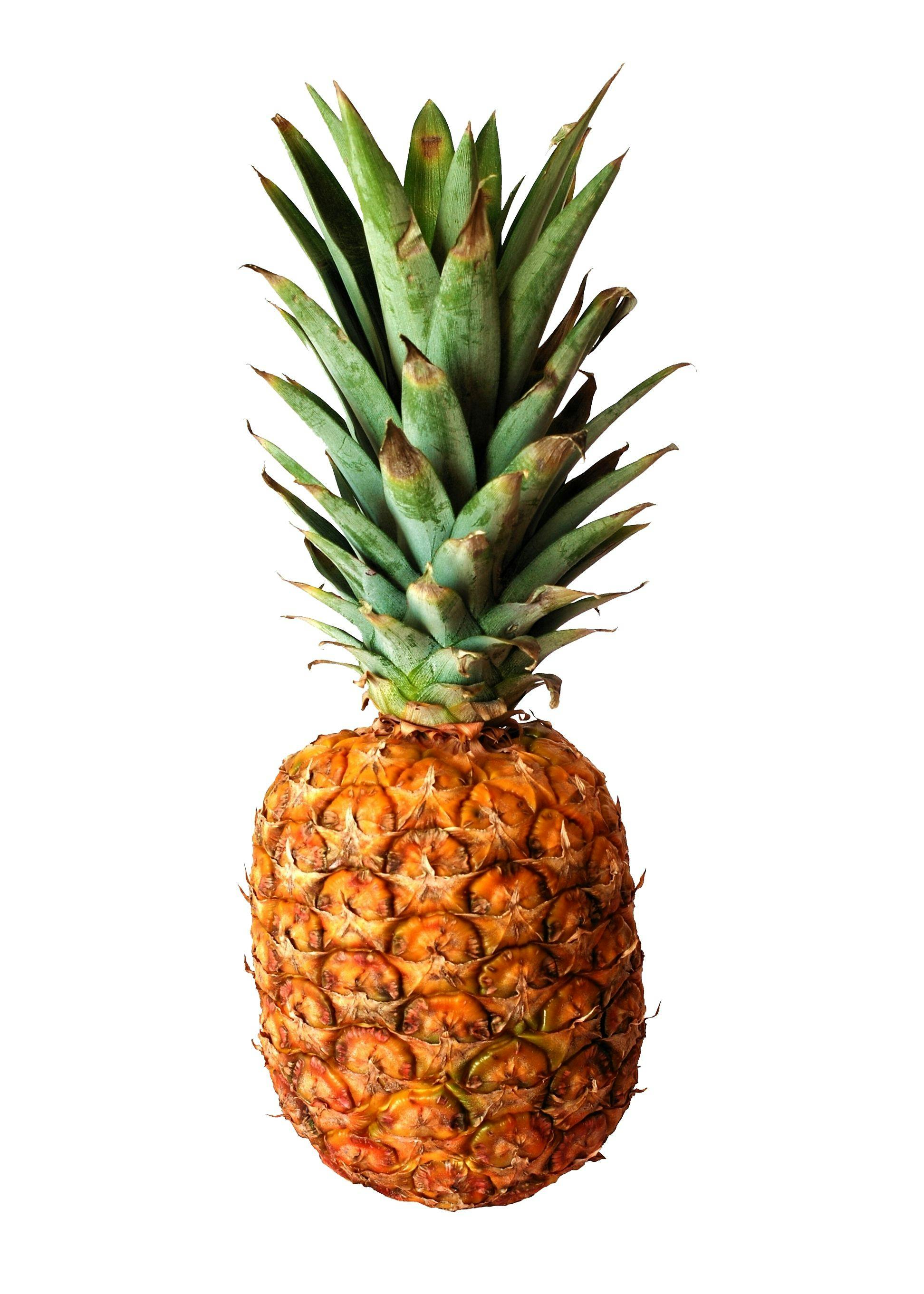 Fun Fact: Pineapples