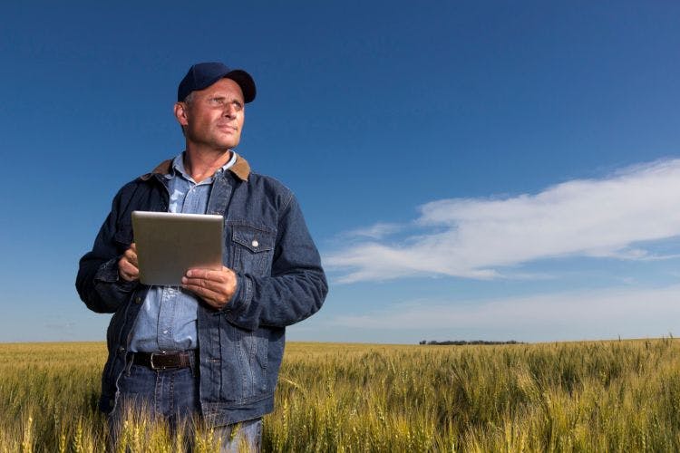 farmer standing in a field with clipboard