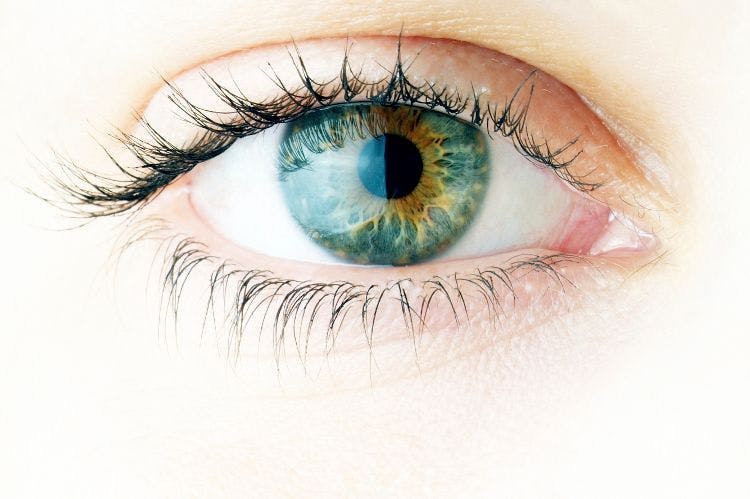 single eye with greenish, blue, and brown iris
