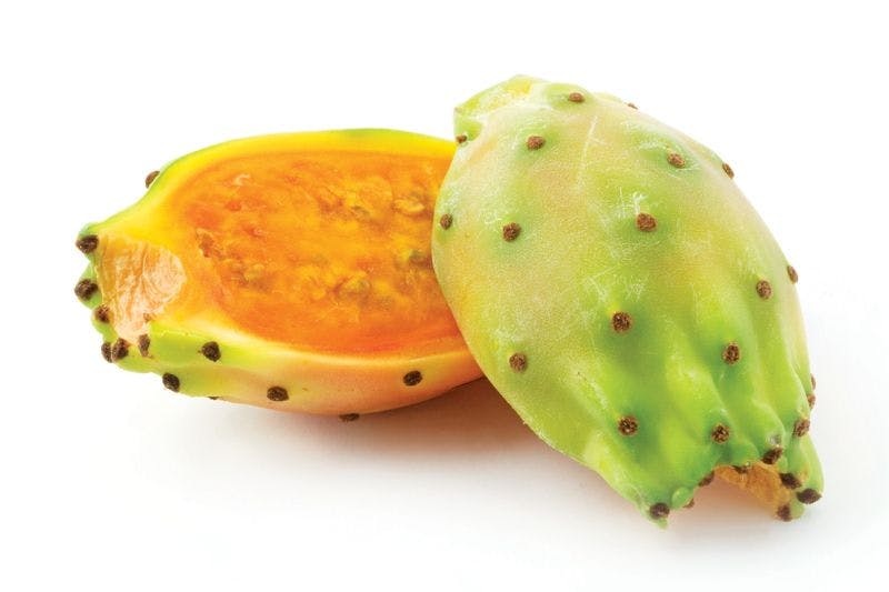 Fun Fact: Prickly Pear