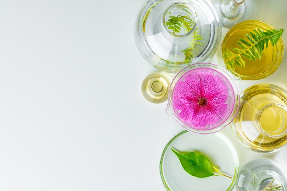 Startup firm Novella will supply botanical ingredients using cell cultures
