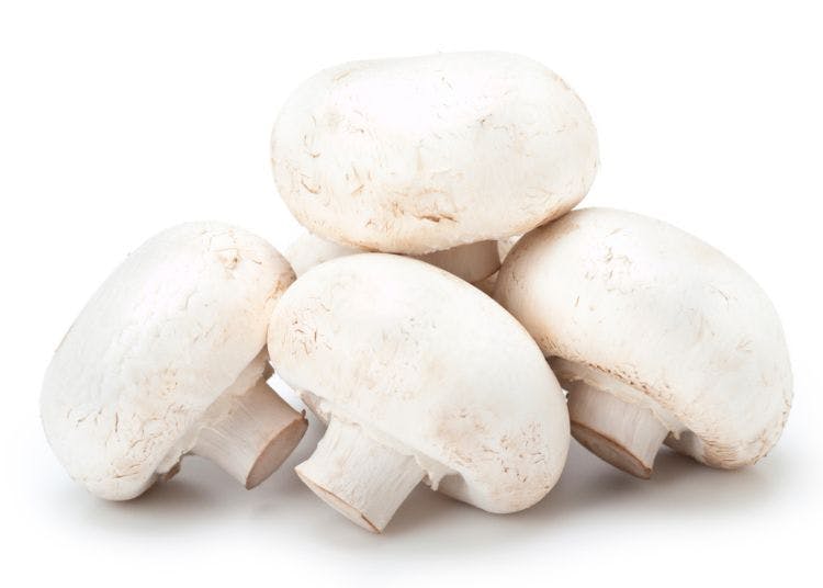 White button mushroom popularity