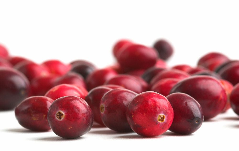 Ethical Naturals to share new study data on superiority of Cranberex cranberry extract: 2023 SupplySide West Preview