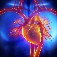 Magnesium’s Potential in Cardiometabolic Health