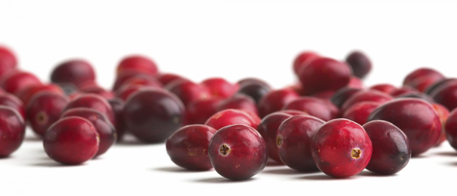 New Frontiers for Cranberry