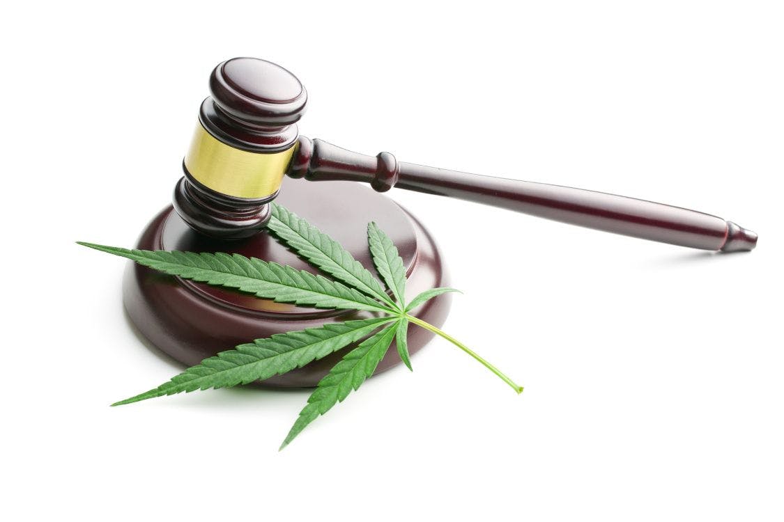 cannabis leaf with gavel