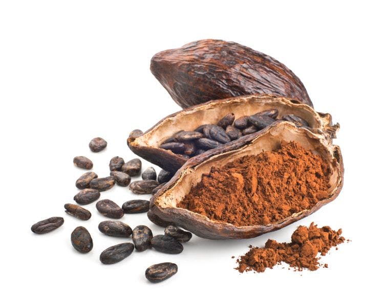 cocoa flavanols