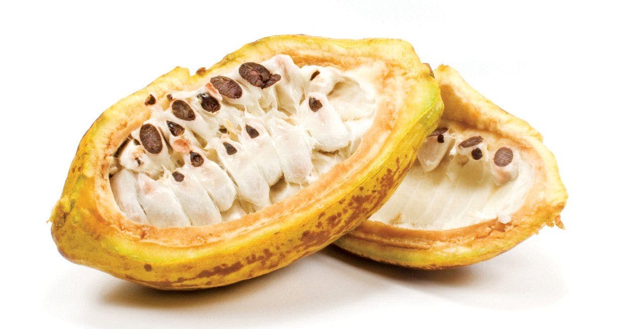 Cacao Pulp: It's Not Just a Waste Product of Cocoa Anymore