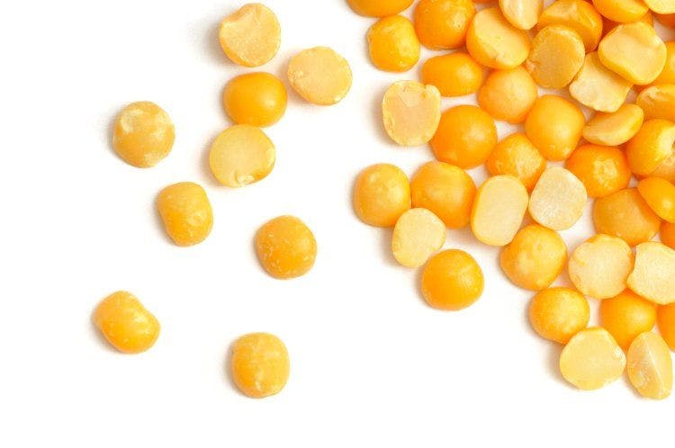 Pea protein market will not be as big as soy, but will offer unique benefits as a specialty protein, says pea supplier