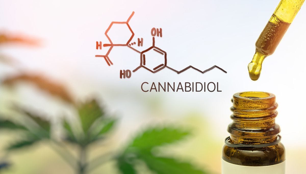 Preclinical data shows that CBD may reduce nicotine dependence