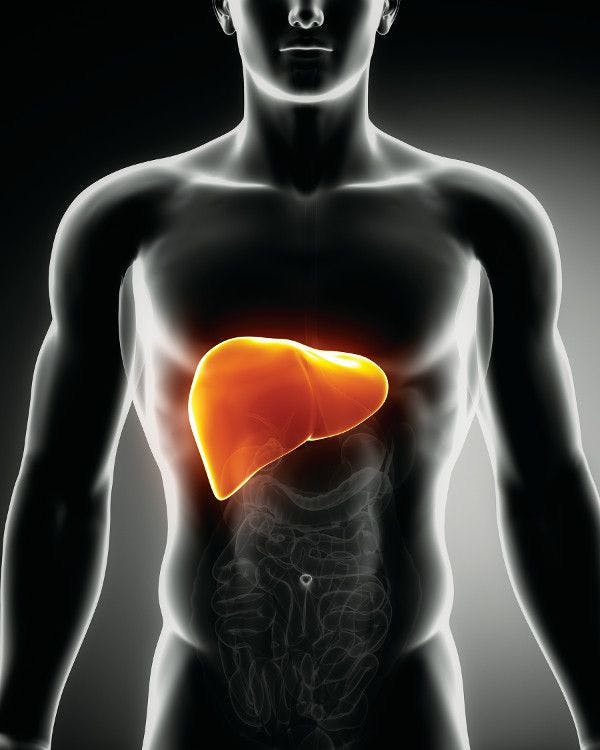 non-alcoholic fatty liver disease