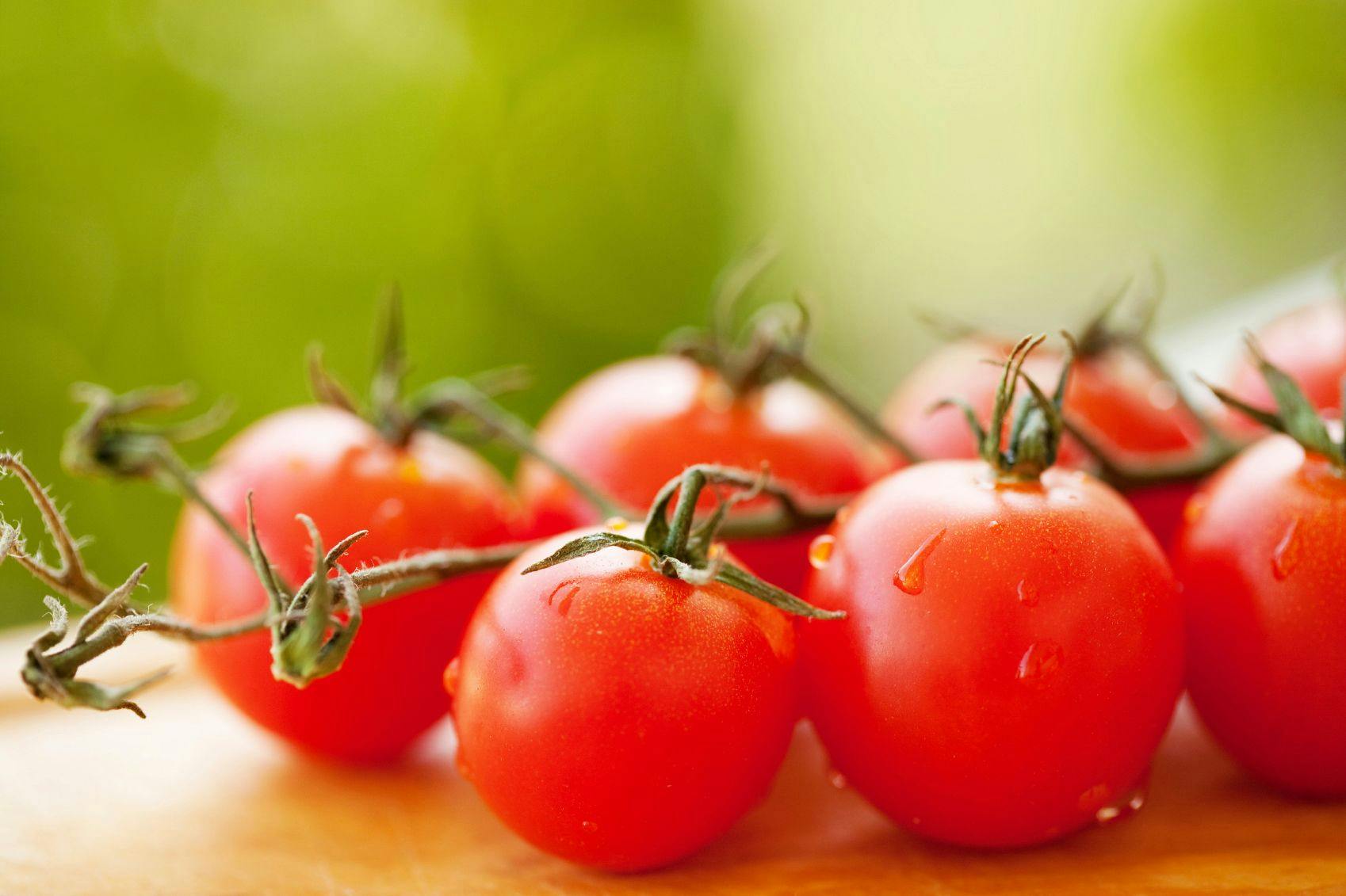Fun Fact: Tomato