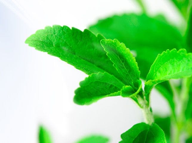 Can Stevia Act as a Preservative in Fruity Drinks?