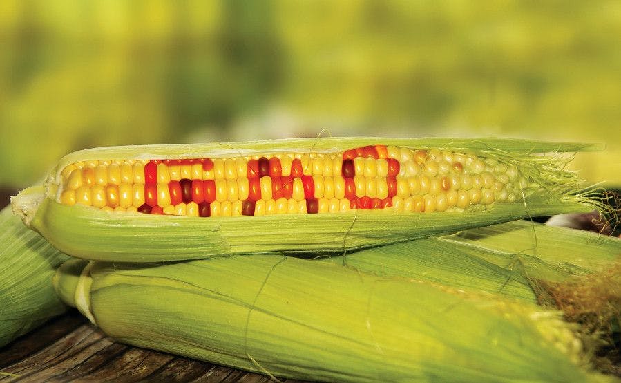 FDA Issues GMO Labeling Final Guidance for Foods Derived from Plants