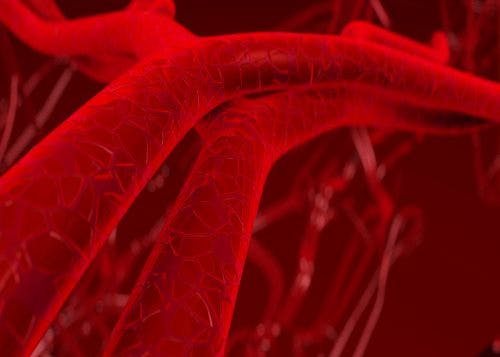 NattoPharma’s Research Network Receives €4M EU Grant to Fund Research on Vitamin K2 and Vascular Health