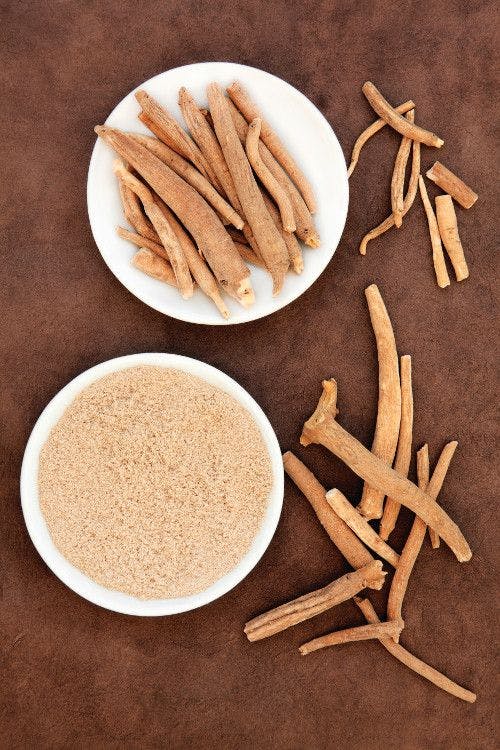 Concentrated Ashwagandha Root Extract Normalizes Thyroid Hormone Levels, Study Suggests