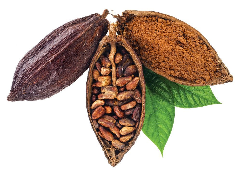 First-ever cacao fruit juice nutraceutical, for circulatory health, unveiled by Barry Callebaut