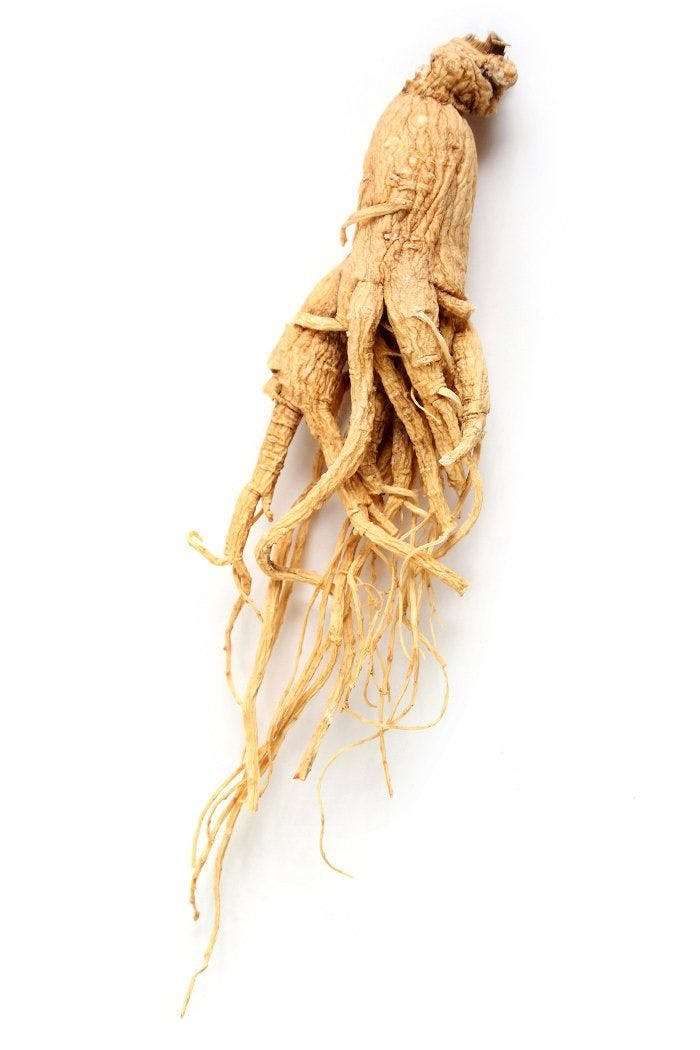 Scientists say ginseng compound may have exercise and aging benefits