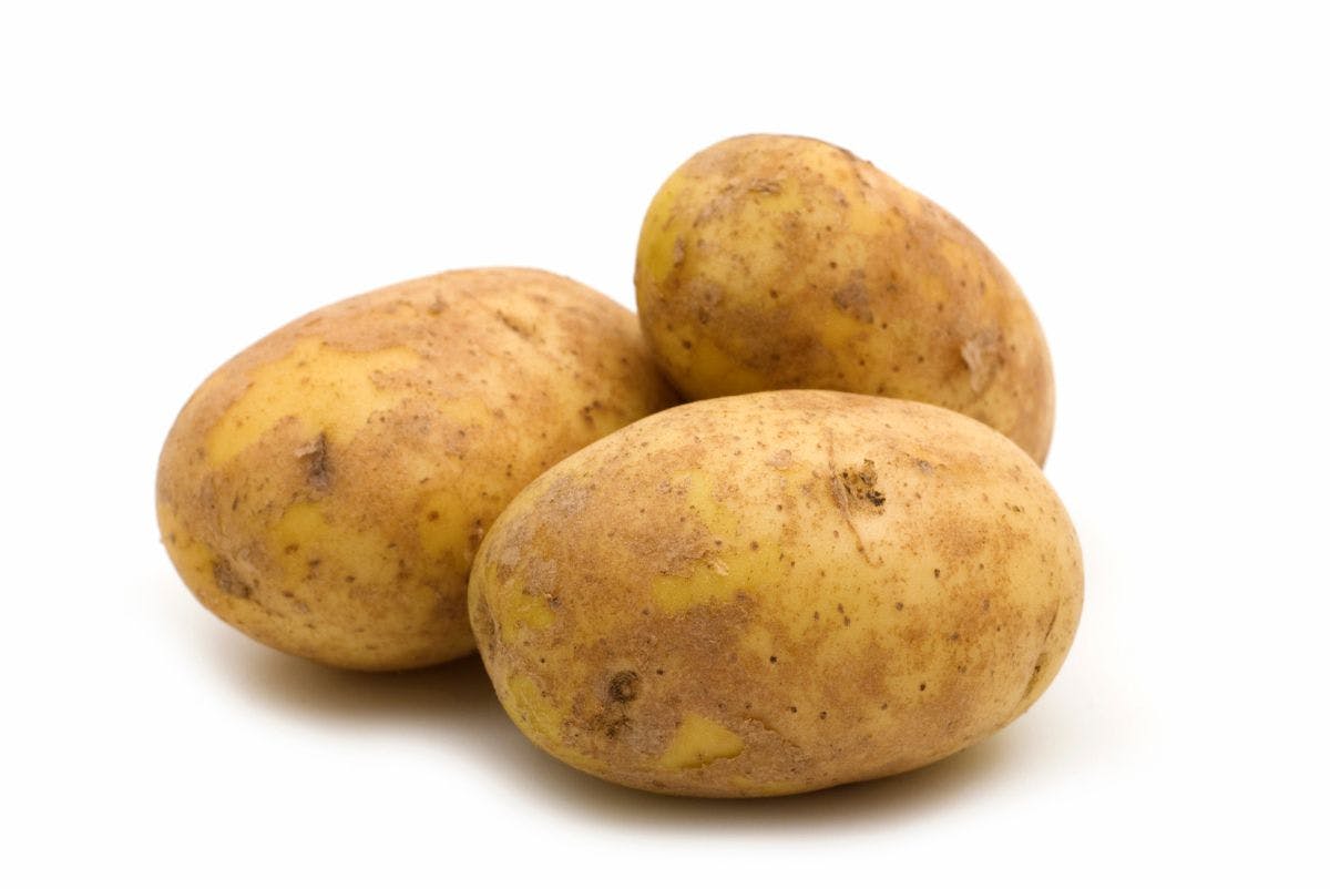 three potatoes on white background