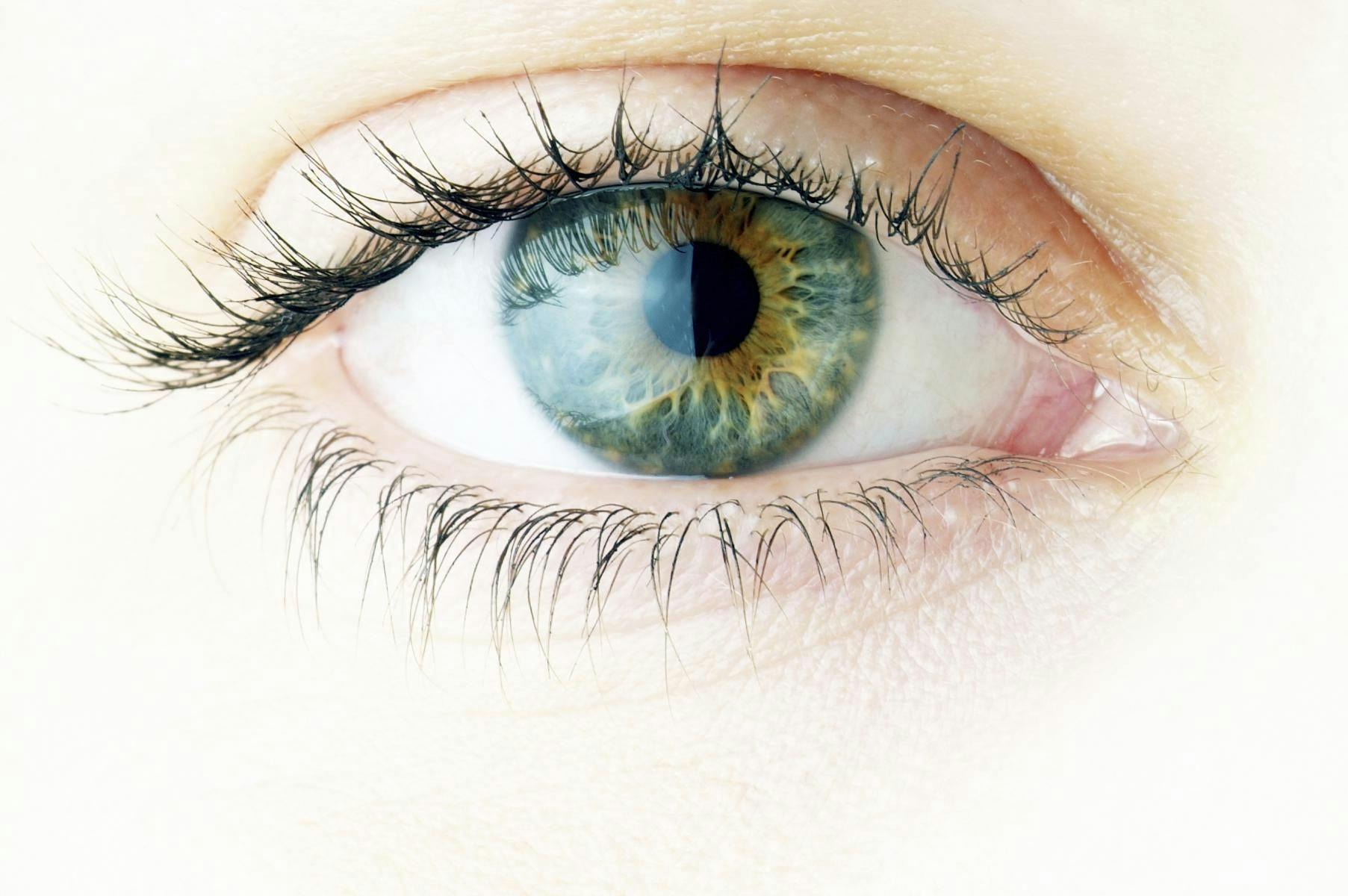 Dietary Supplements and Eye Health Ingredients