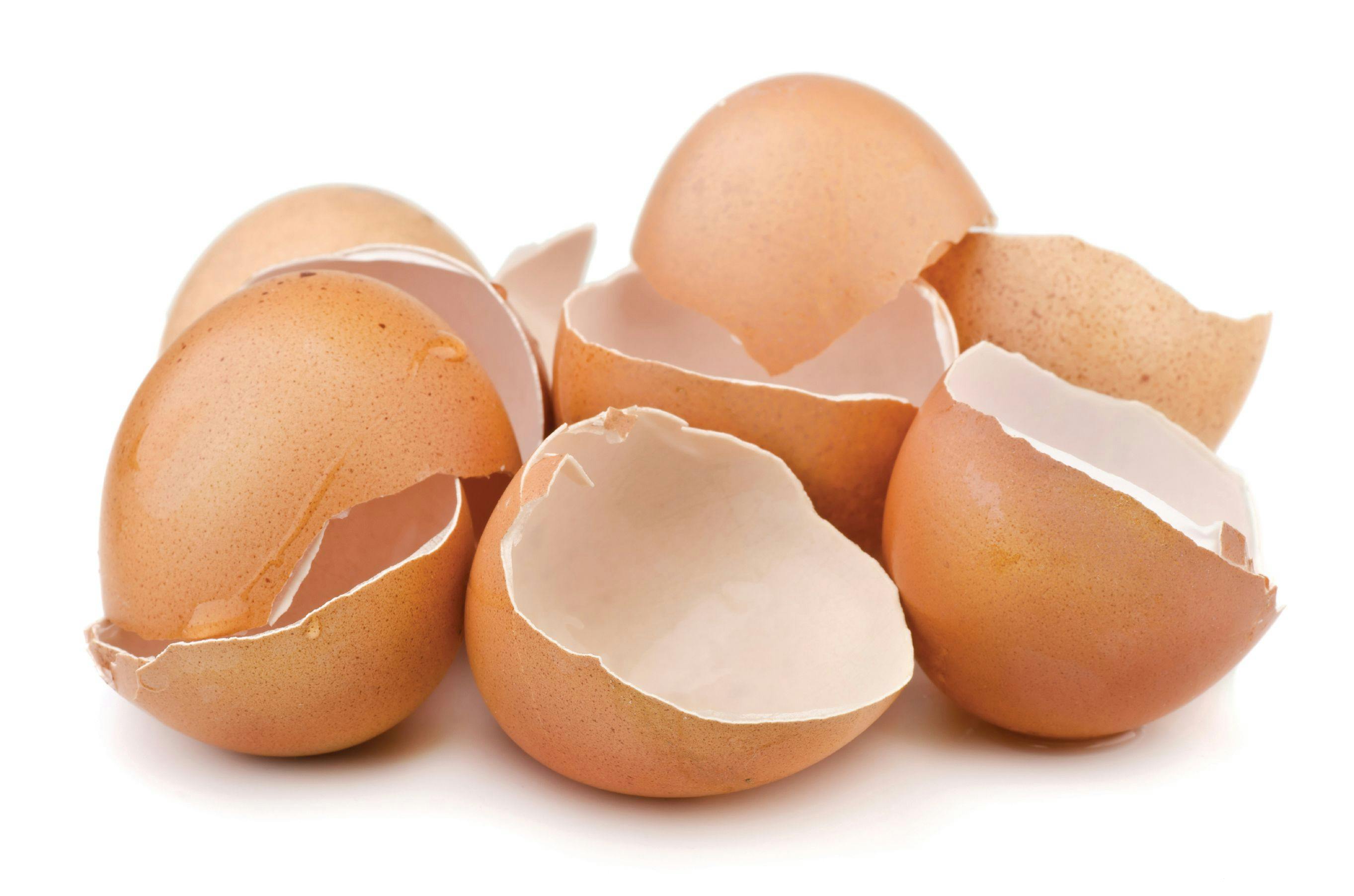 Eggshell Membrane Reduces Joint Discomfort Post-Exercise? 