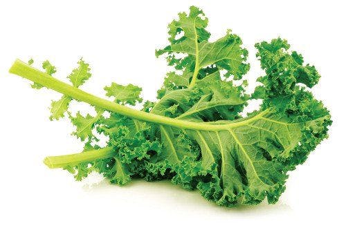 Fun Fact: Kale and Spinach