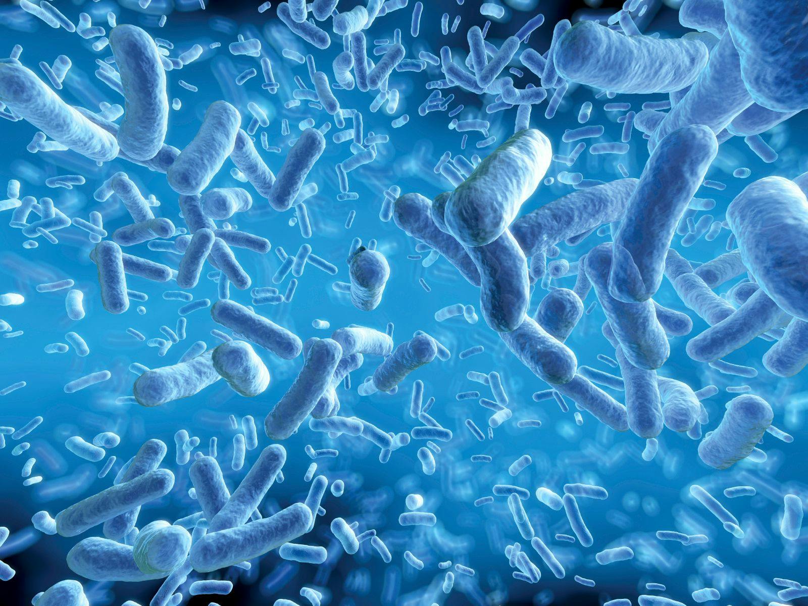 First Dose-Response Study Shows Probiotic Benefits for Antibiotic-Associated Diarrhea