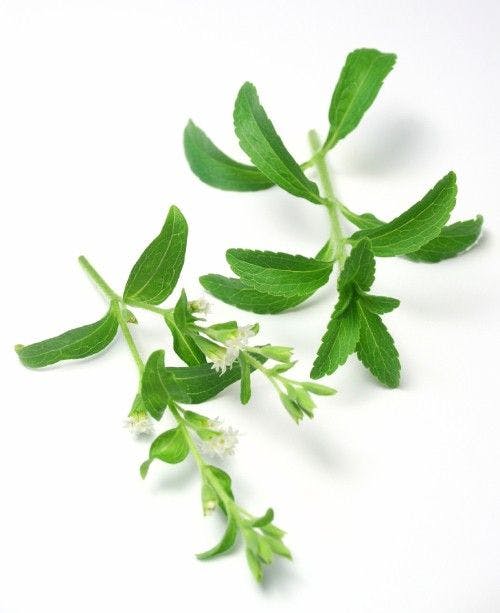 Steviol Glycosides Remain Unaltered Even after Stevia Is Commercially Purified and Extracted, Study Suggests
