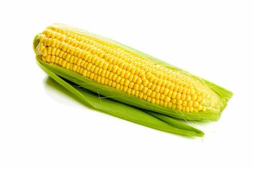 Fun Fact: Corn