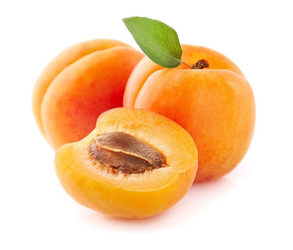 Plum, apricot hybrids