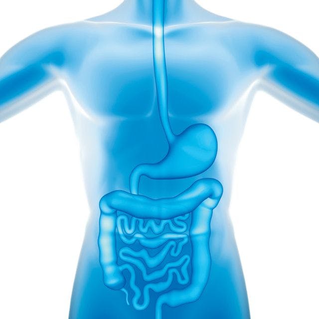 Botanical Extract Blend Supports Gut Health? 