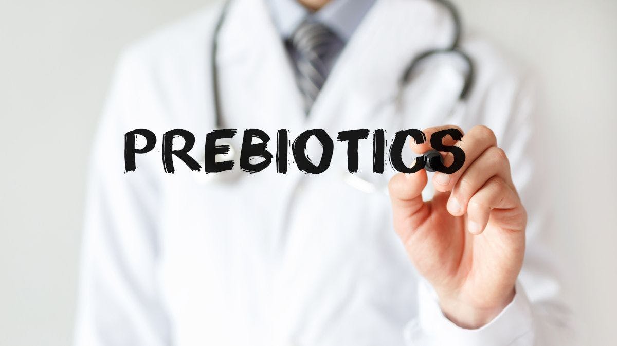 doctor writing "prebiotics" 