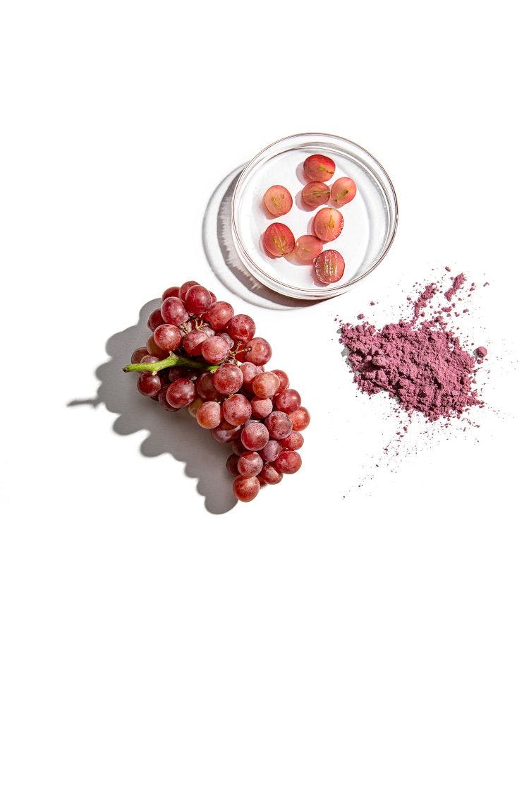 Designs for Health first major U.S. purchase of red grape powder Vinia
