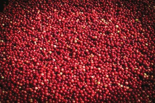 2017 Cranberry Update: Should We Focus on PACs or on the Whole Fruit?