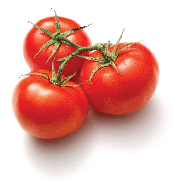 Tomato fear
