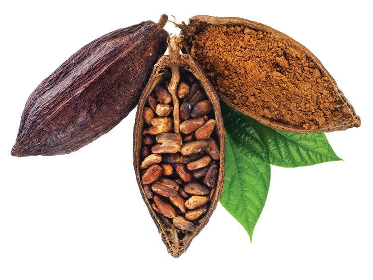 Cocoa benefits for brain and heart