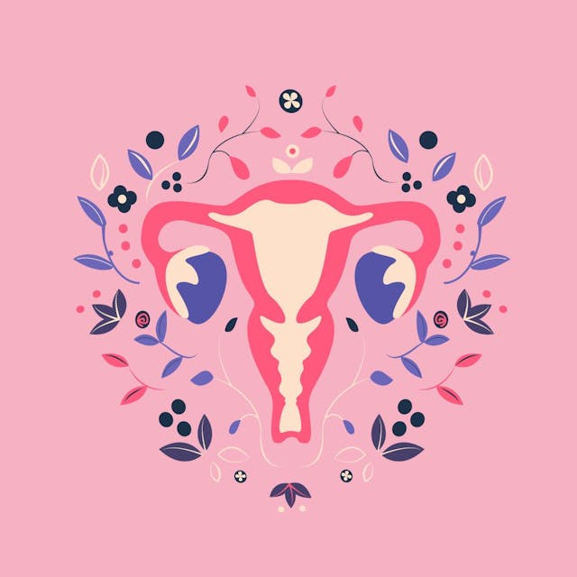 menopause illustration