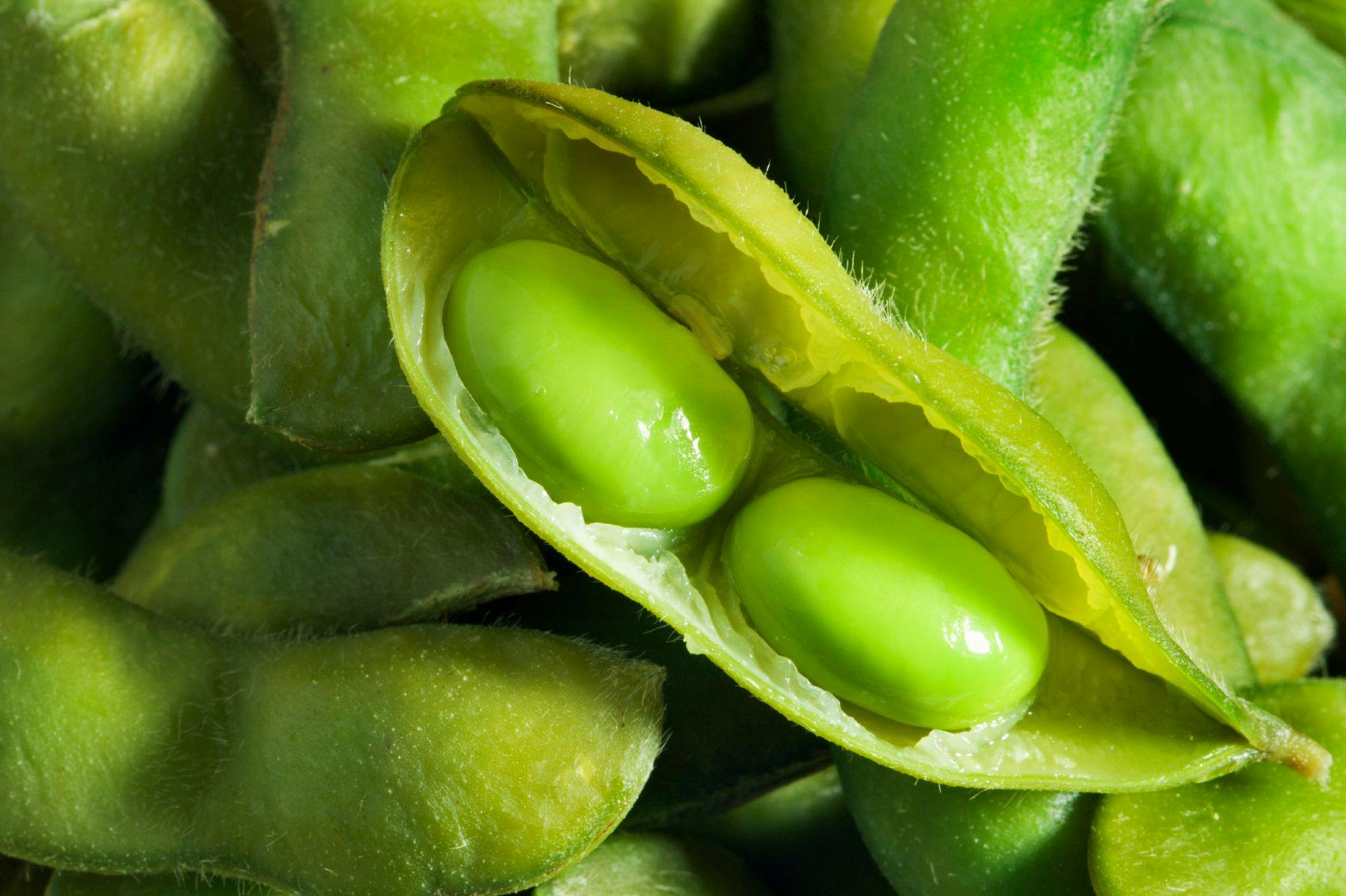 Plant Protein: Searching for the Next Soy