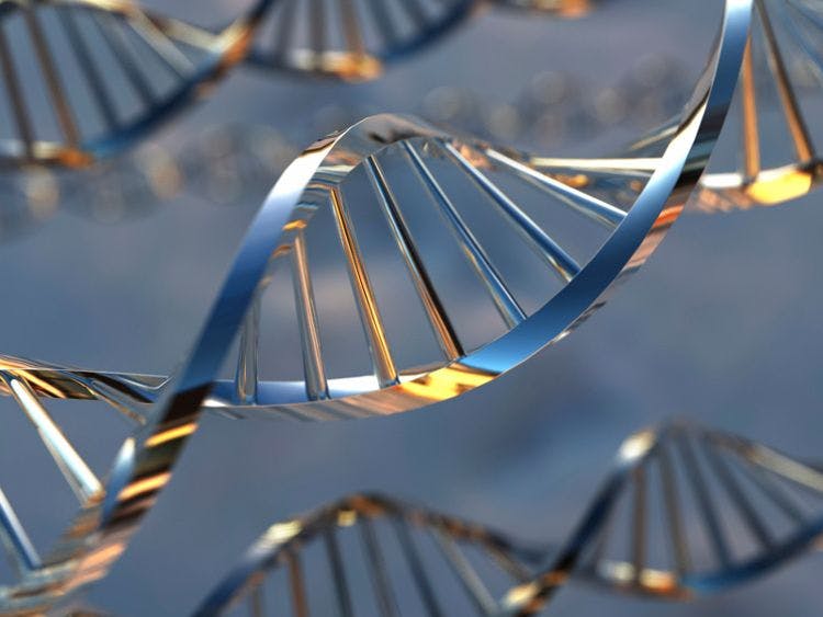 DNA barcoding study retracted after co-author raises concerns about its validity