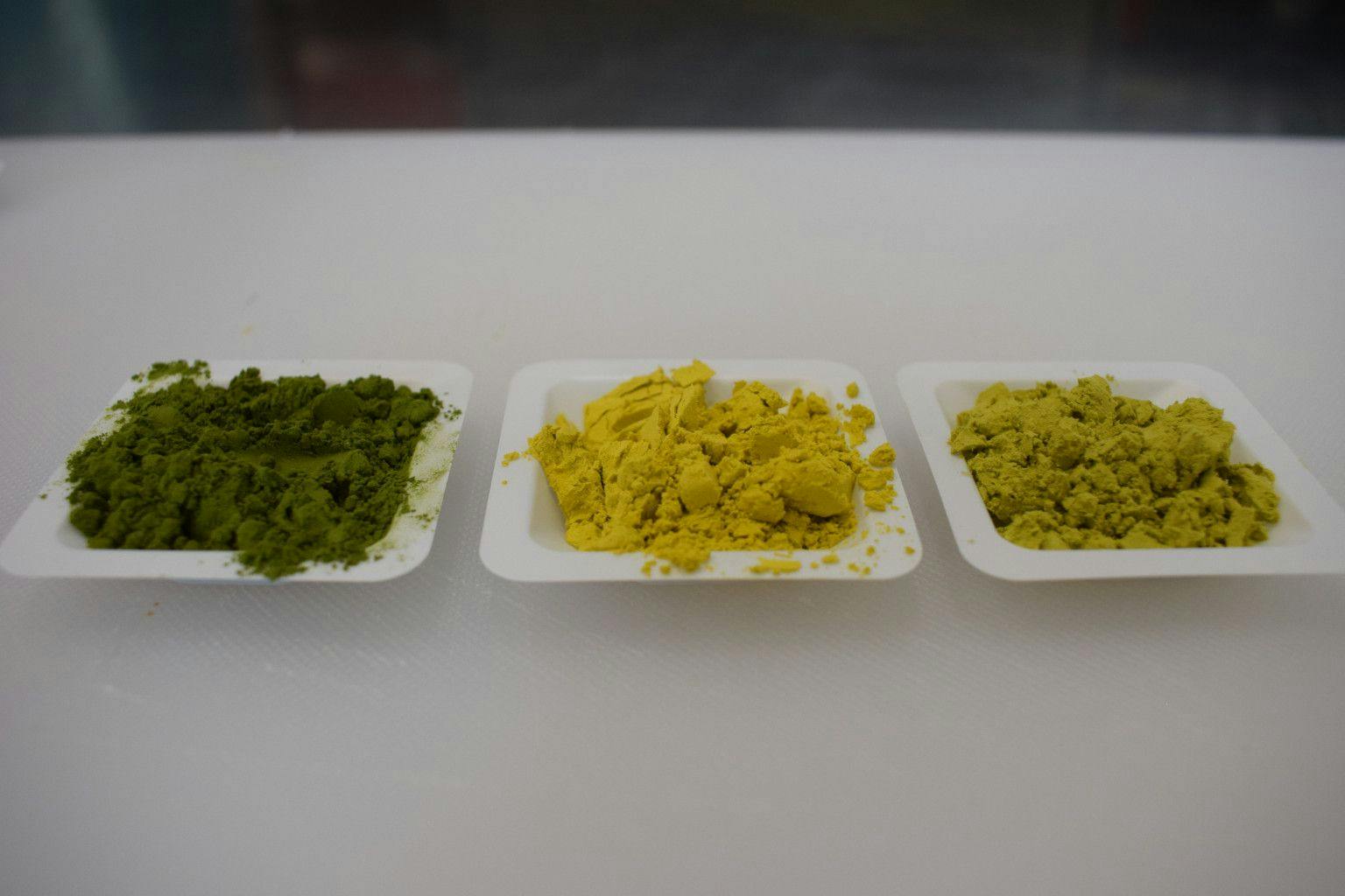 Pictured from left to right: Smooth Chlorella (left), Honey Chlorella (new version; middle), and Honey Chlorella (old version; right). Photo from ProFuture © Marie-Christin Baune (DIL-ev).