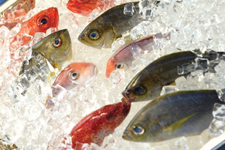 Large Study Supports Omega-3s for Healthy Eyes