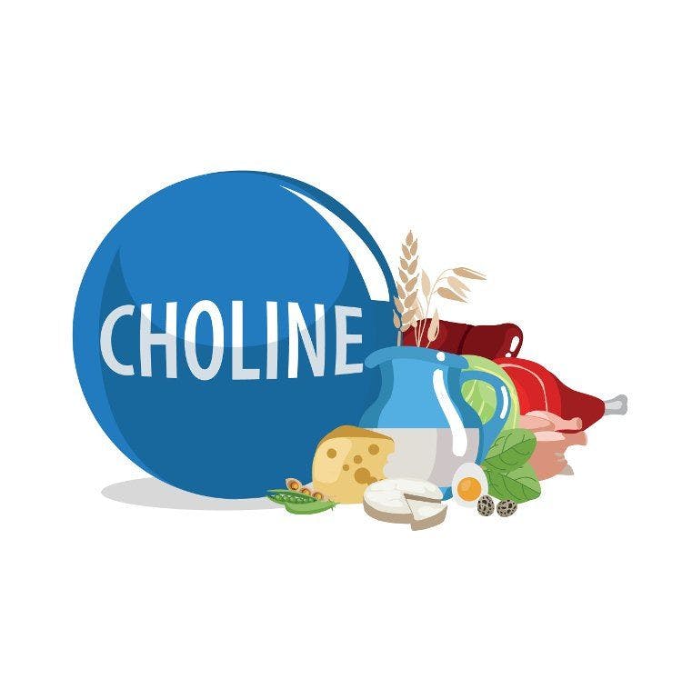 Choline awareness is ramping up thanks to growing research, Balchem says at SupplySide West 2019