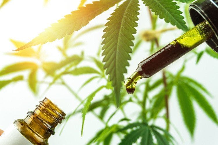 How hard is it to formulate CBD in food and drinks?